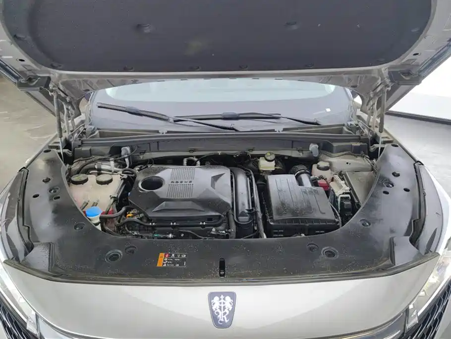 ROEWE RX5 NEW ENERGY