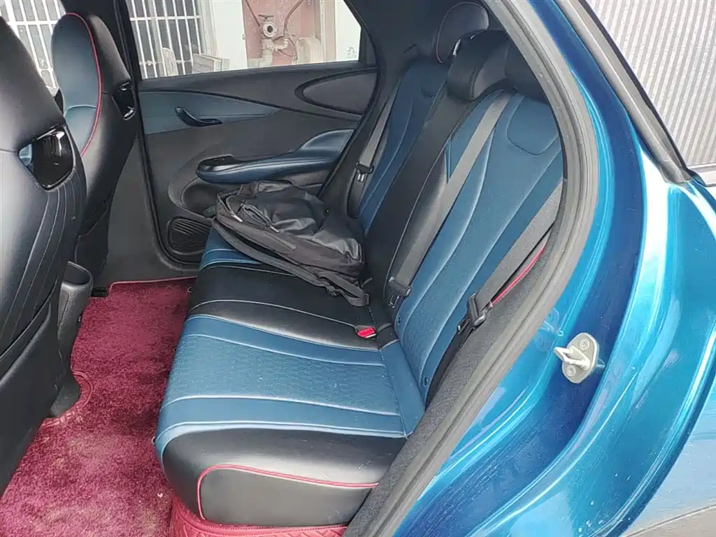 BYD Dolphin 2021 401km Knight Edition фото 17