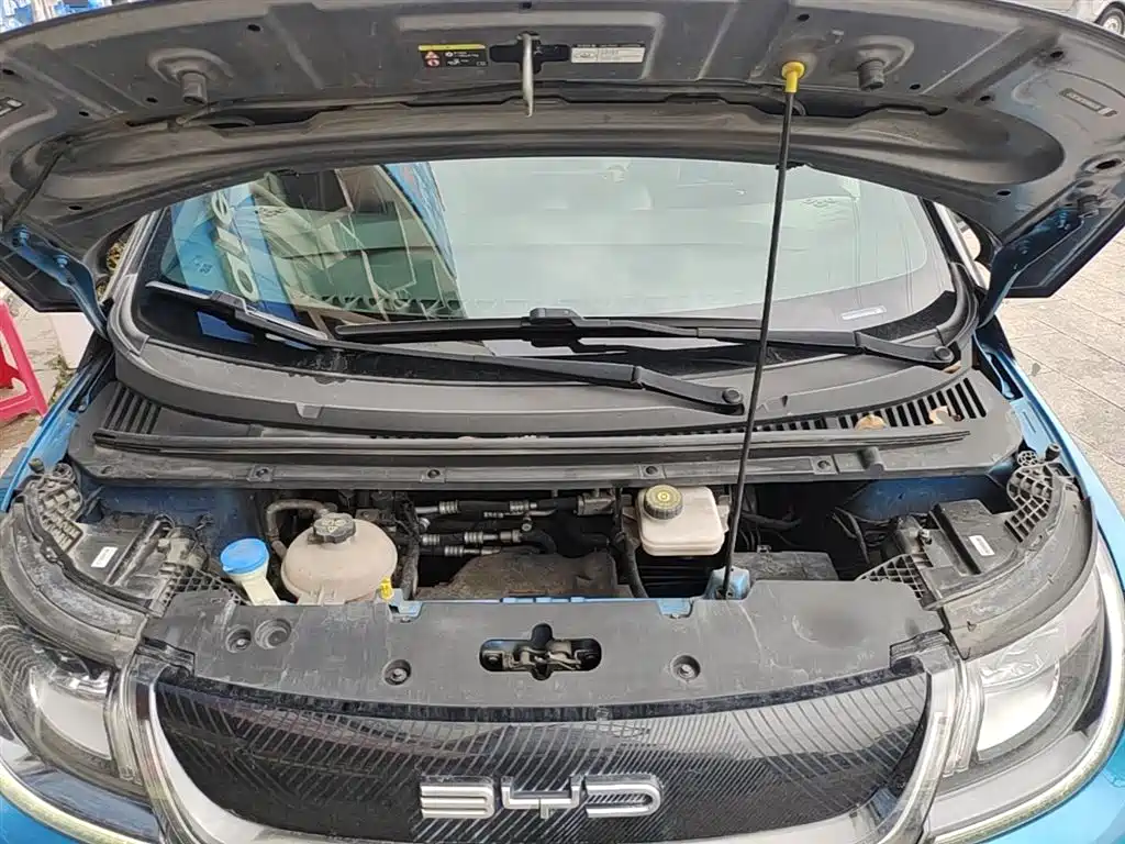 BYD Dolphin 2021 401km Knight Edition фото 20