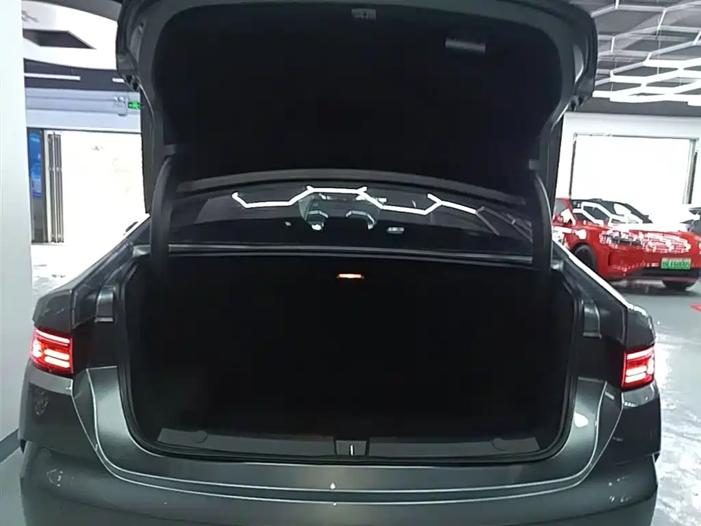 BYD Destroyer 05 2024 Glory Edition DM-i 55KM Luxury фото 19