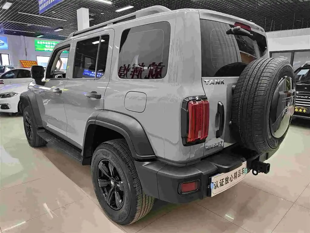 Tank 300 2023 Off-Road Edition 2.0T Conqueror фото 6