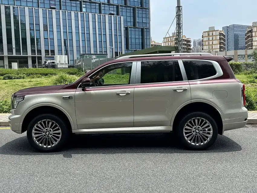 Tank 500 2022 2023 3.0T Special Custom Edition (5-seater)