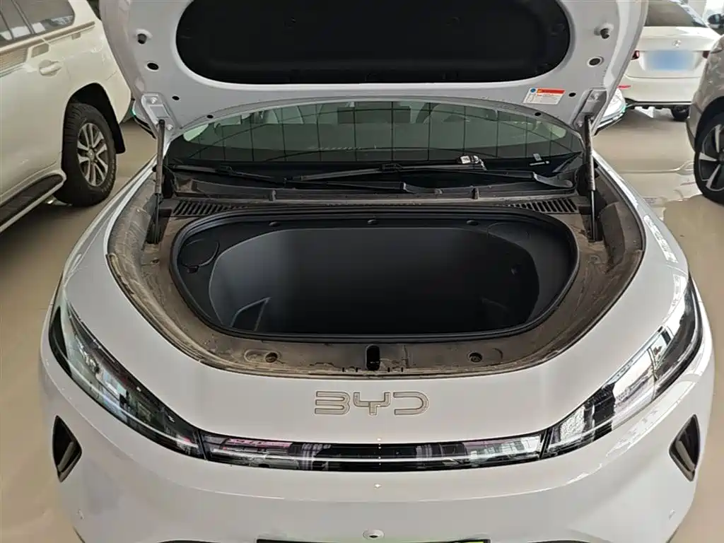 BYD Hai Shi 05 EV 2025 520KM Smart Navigation Edition фото 20