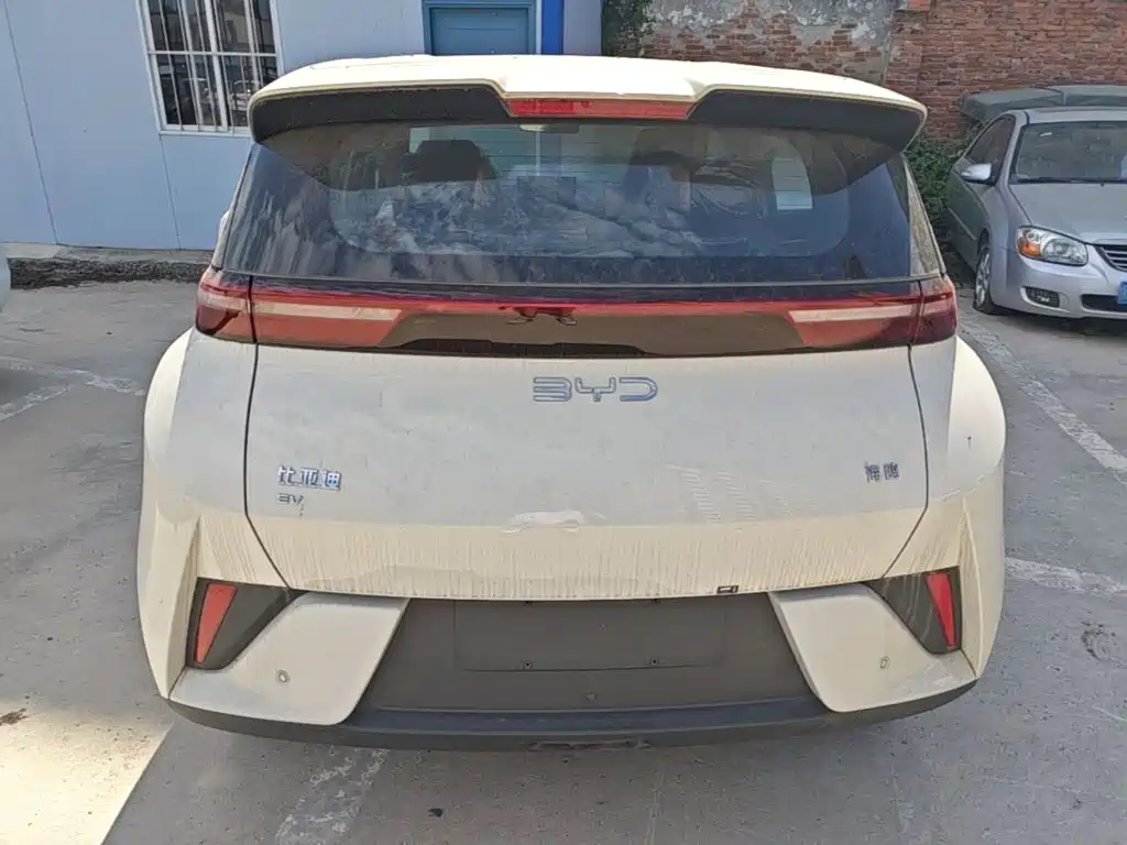 BYD Seagull 2026 2025 Smart Drive Edition 305km Vitality Version