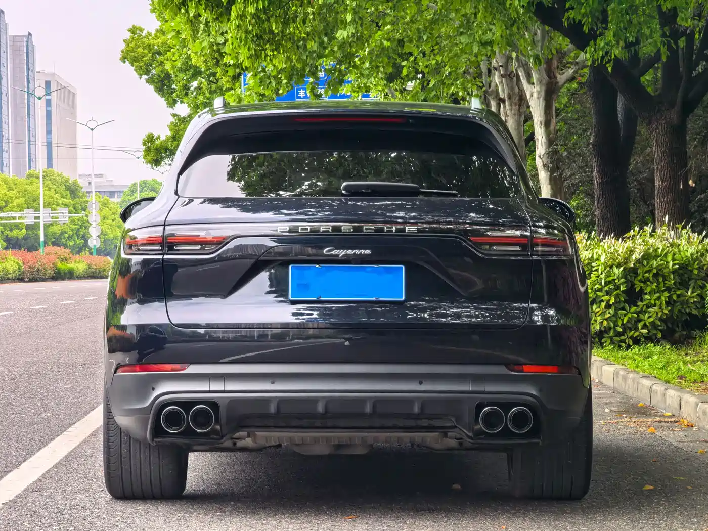 Porsche Cayenne 2019 Cayenne 3.0T фото 4