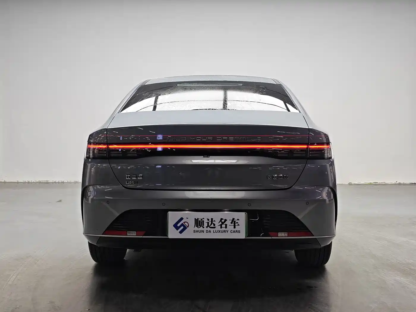BYD Destroyer 05 2024 Glory Edition DM-i 55KM Luxury фото 3