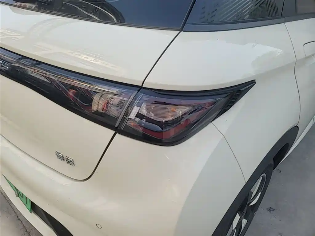 BYD Dolphin 2024 Glory Edition 420km Freedom Edition фото 24