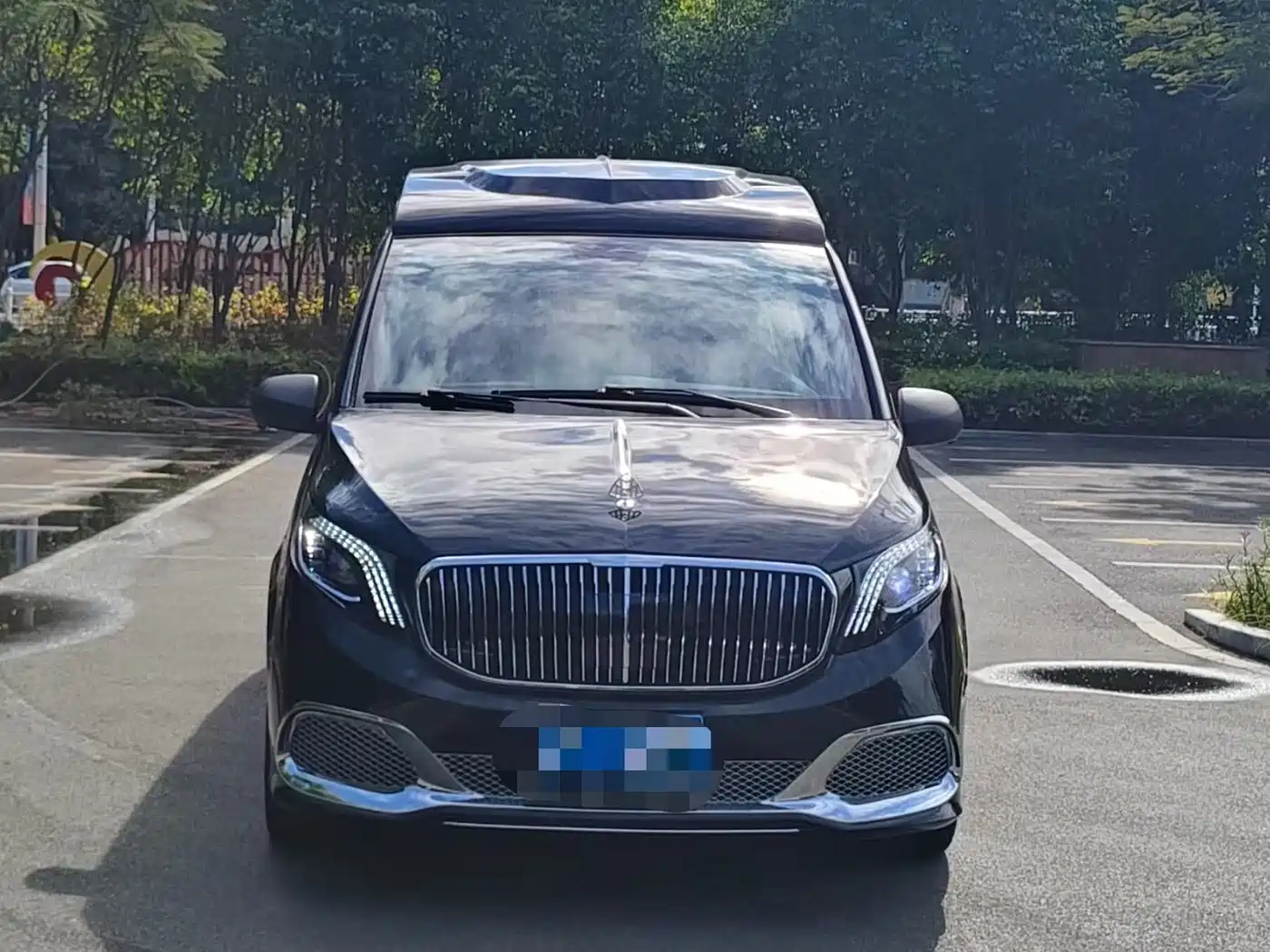 Mercedes-Benz Vito 2016 2.0T Elite Edition фото 2