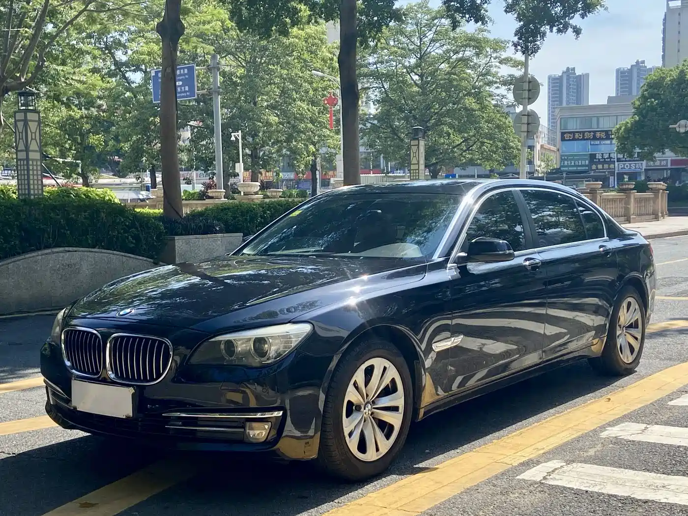 BMW 7 Series 2013 Model 730Li Leading