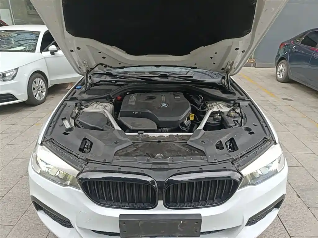BMW 5 Series 2018 525Li M Sport Package фото 20