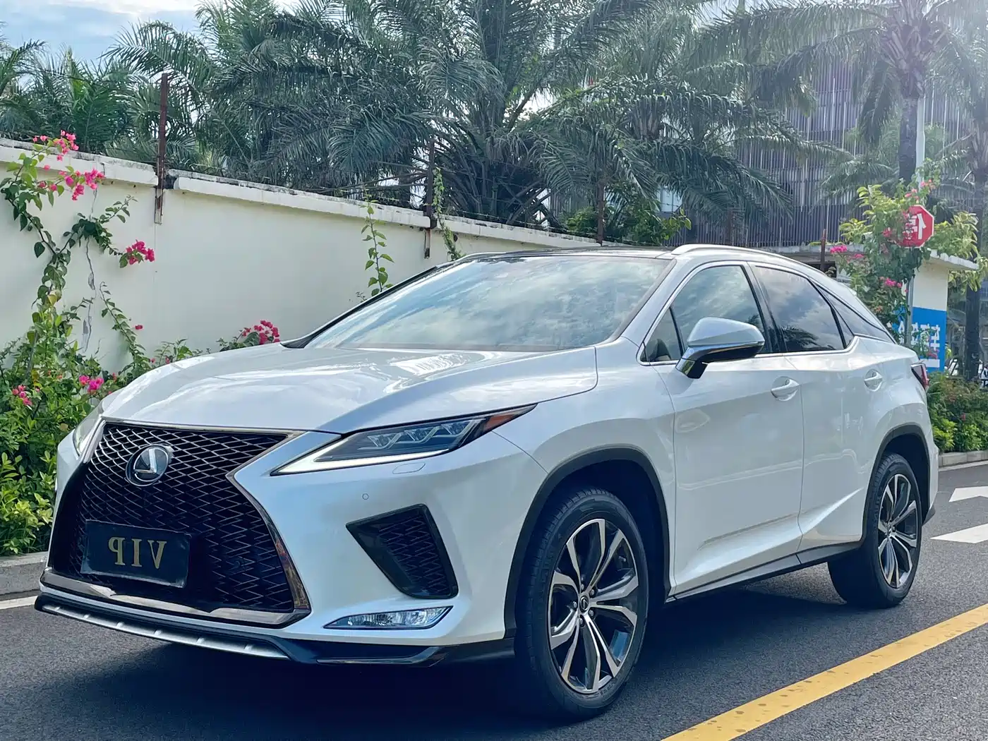 LEXUS RX