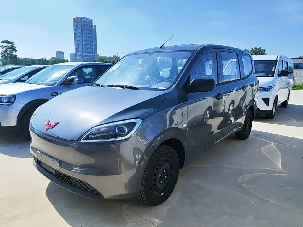 Wuling Motors Wuling Hongguang New Energy 2025 2024 Pure Electric 300KM Standard
