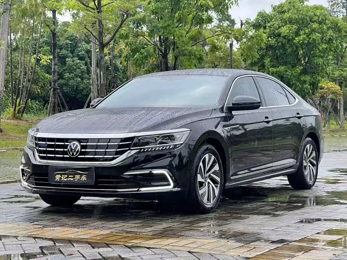 Volkswagen Passat New Energy 2020 430PHEV Hybrid Luxury (China VI)