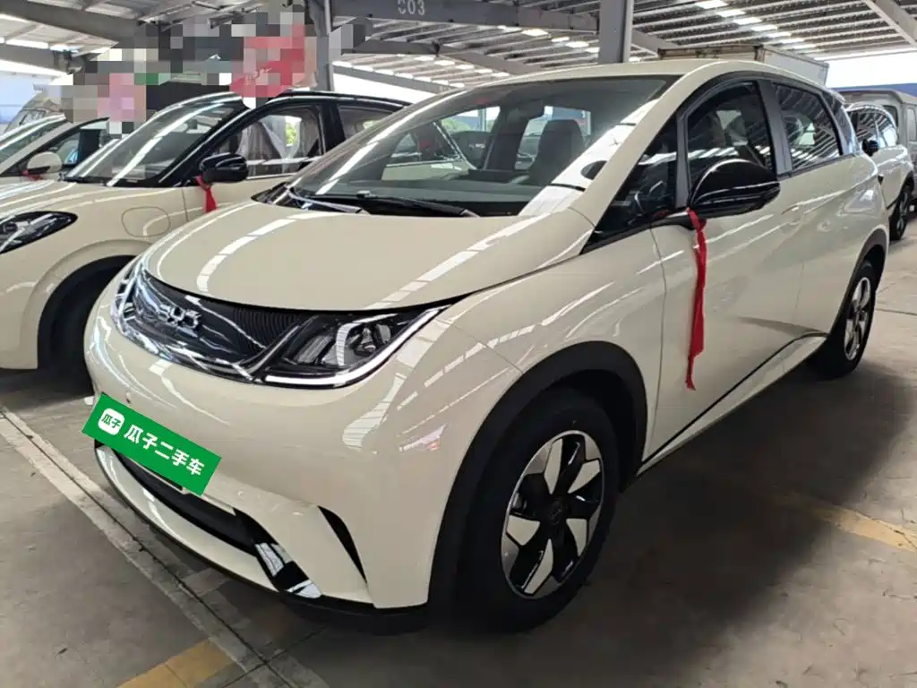 BYD Dolphin 2026 2025 420km Freedom Edition