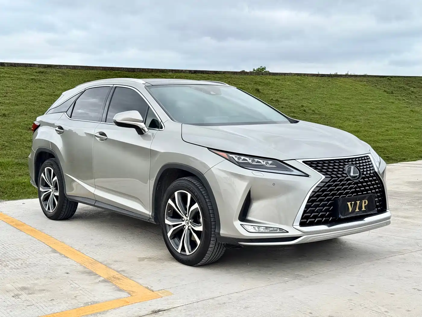 Lexus RX 2020 300 4WD Elegance Edition China VI фото 3