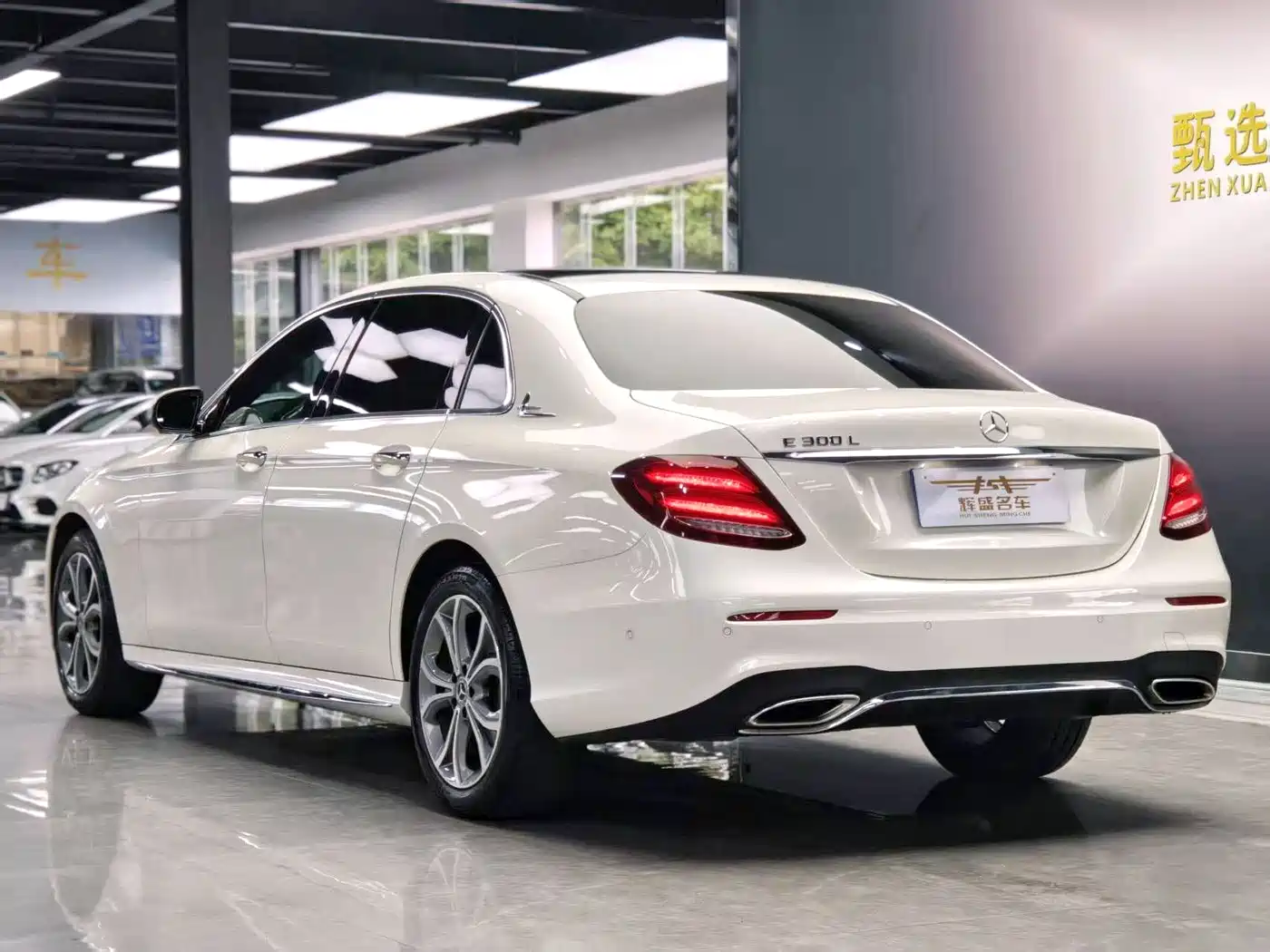 Mercedes-Benz E-Class 2020 E 300 L Sport Luxury Model фото 13