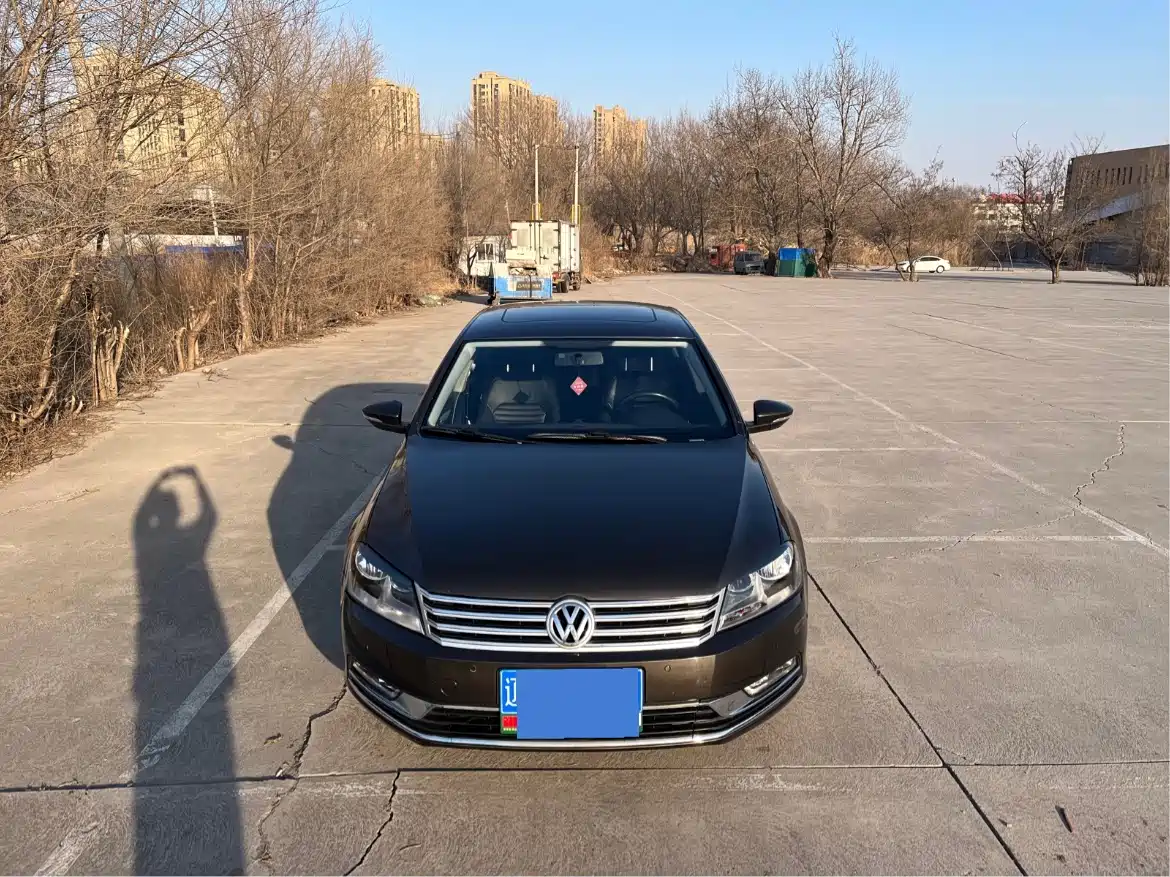 Volkswagen Magotan 2016 1.8TSI Smart Luxury фото 5