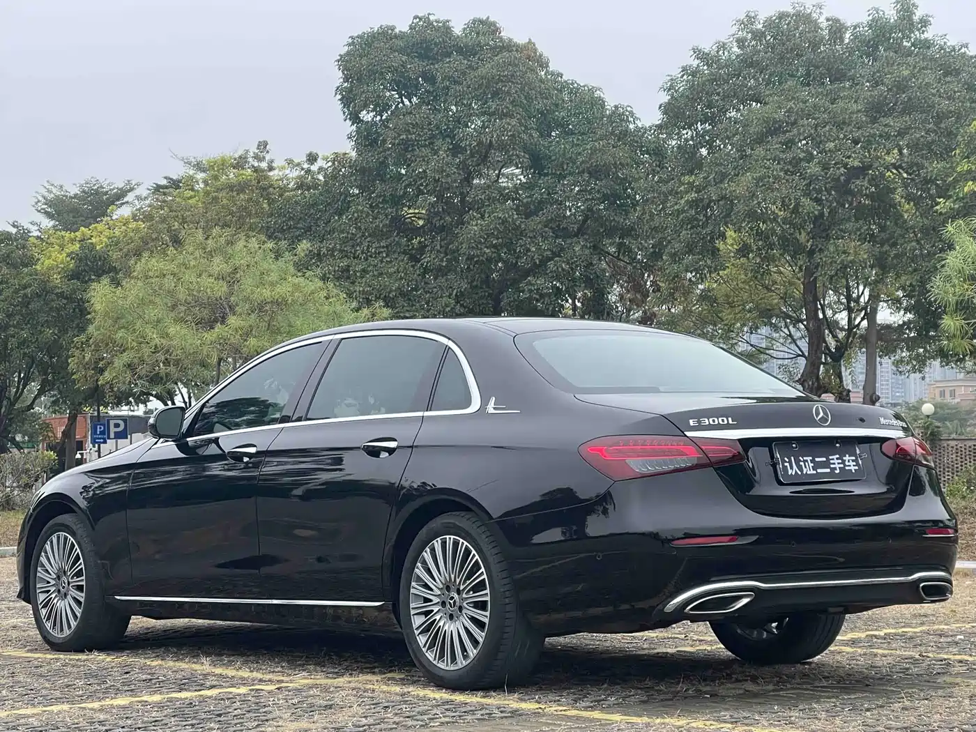 Mercedes-Benz E-Class 2021 E 300 L Luxury фото 25