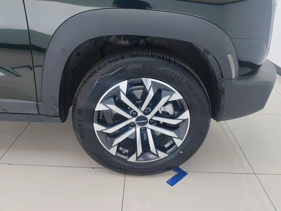 Haval Dargo 2024 2024 1.5T DCT Border Collie Edition