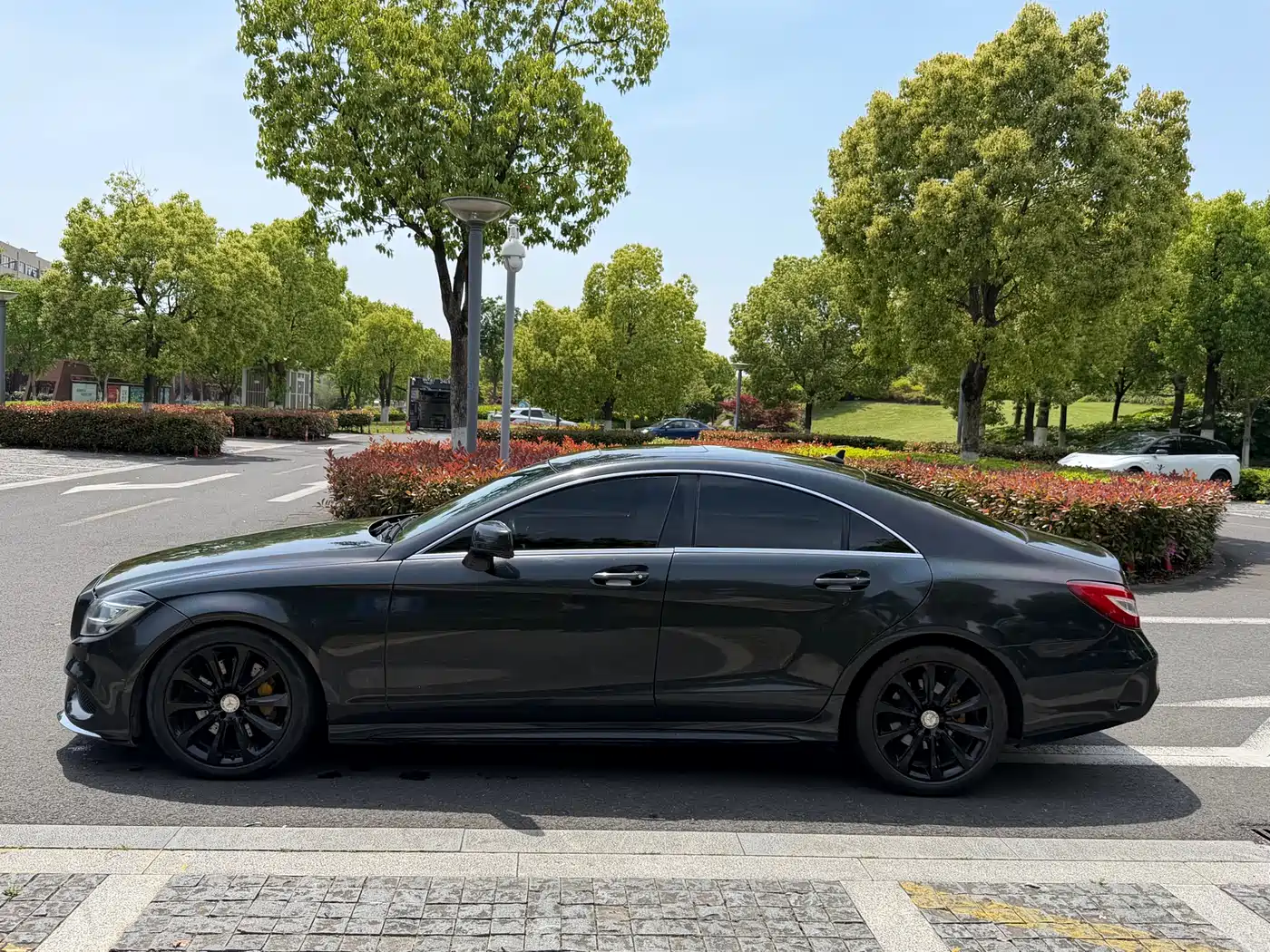 Mercedes-Benz CLS 2015 CLS 320 фото 8
