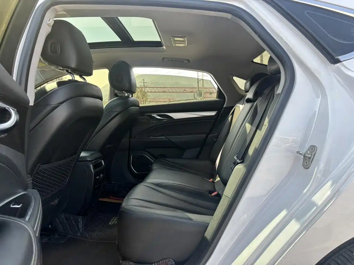 Geely Borui 2021 2021 1.8T Pilot Edition+