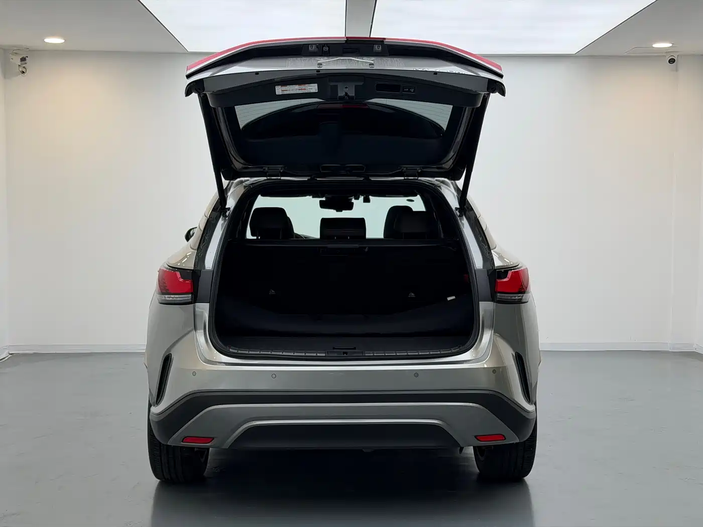 Lexus RX New Energy 2023 450h+ 4WD Enjoyment фото 6