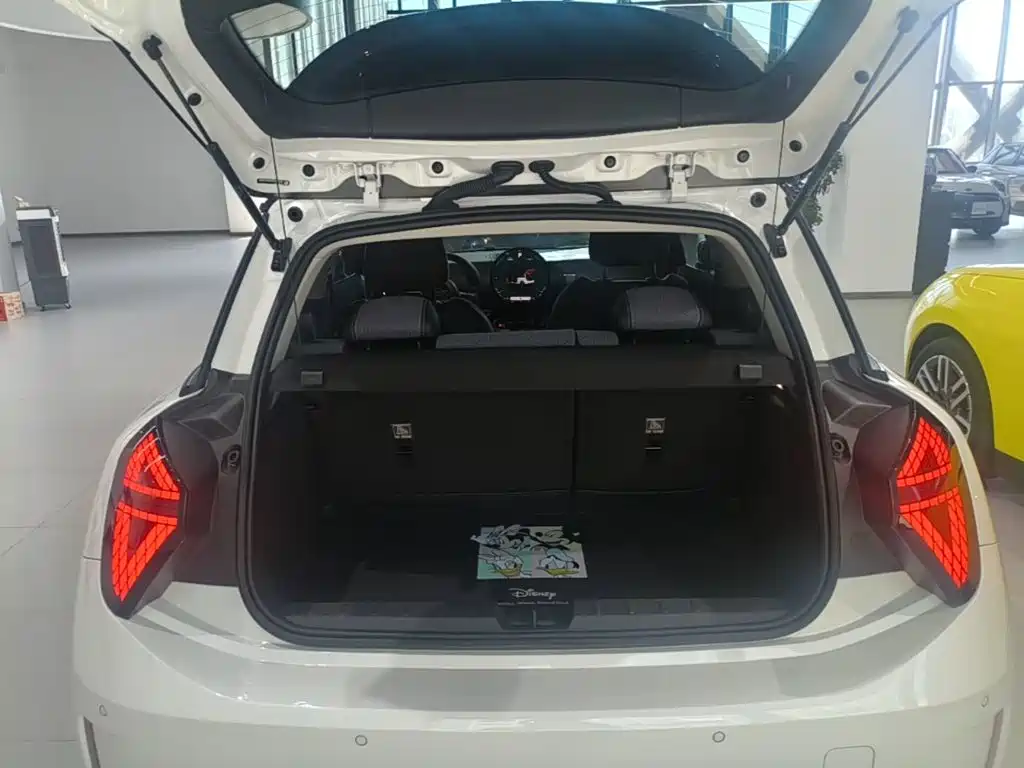 MINI Electric MINI COOPER 2024 2024 452km COOPER SE Artist