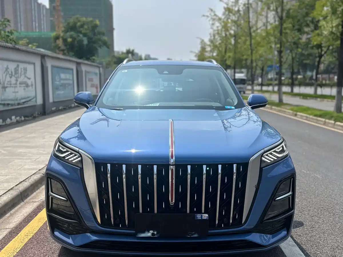 Hongqi HS5 2023 2.0T 4WD Flag Leader Pro фото 2