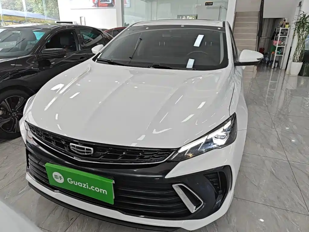 Фото 3 - Geely Binrui