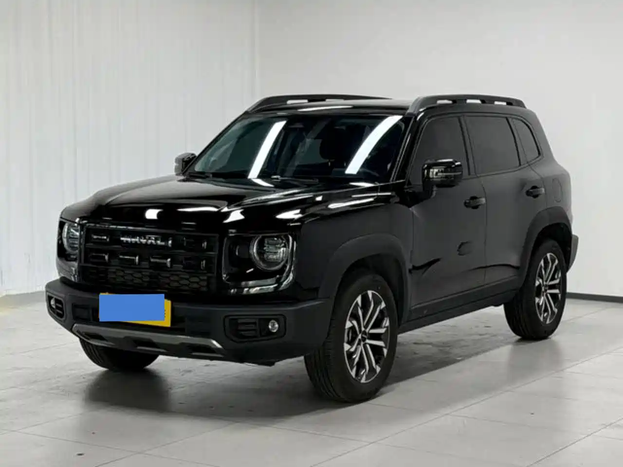 Photo 1 - Haval Big Dog