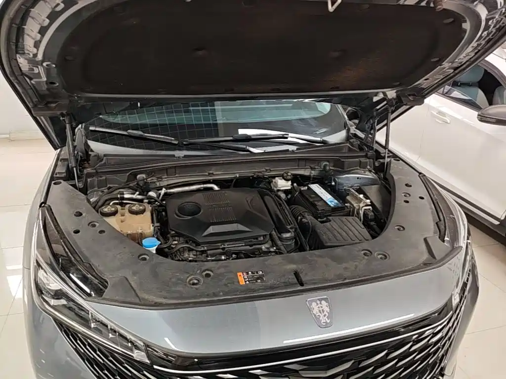 Фото 20 - Roewe RX5