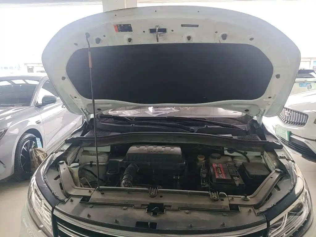 Фото 20 - Roewe RX3