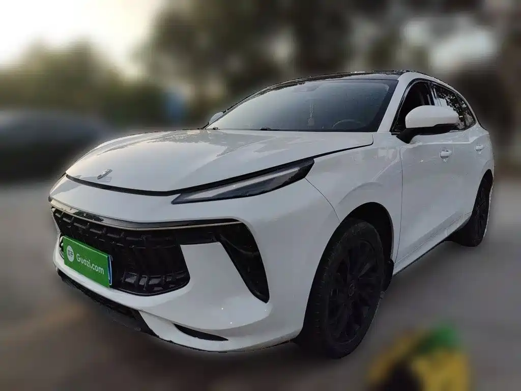 Dongfeng Fengxing Fengxing T5 EVO 2021 2021 1.5TD DCT Diamond Edition