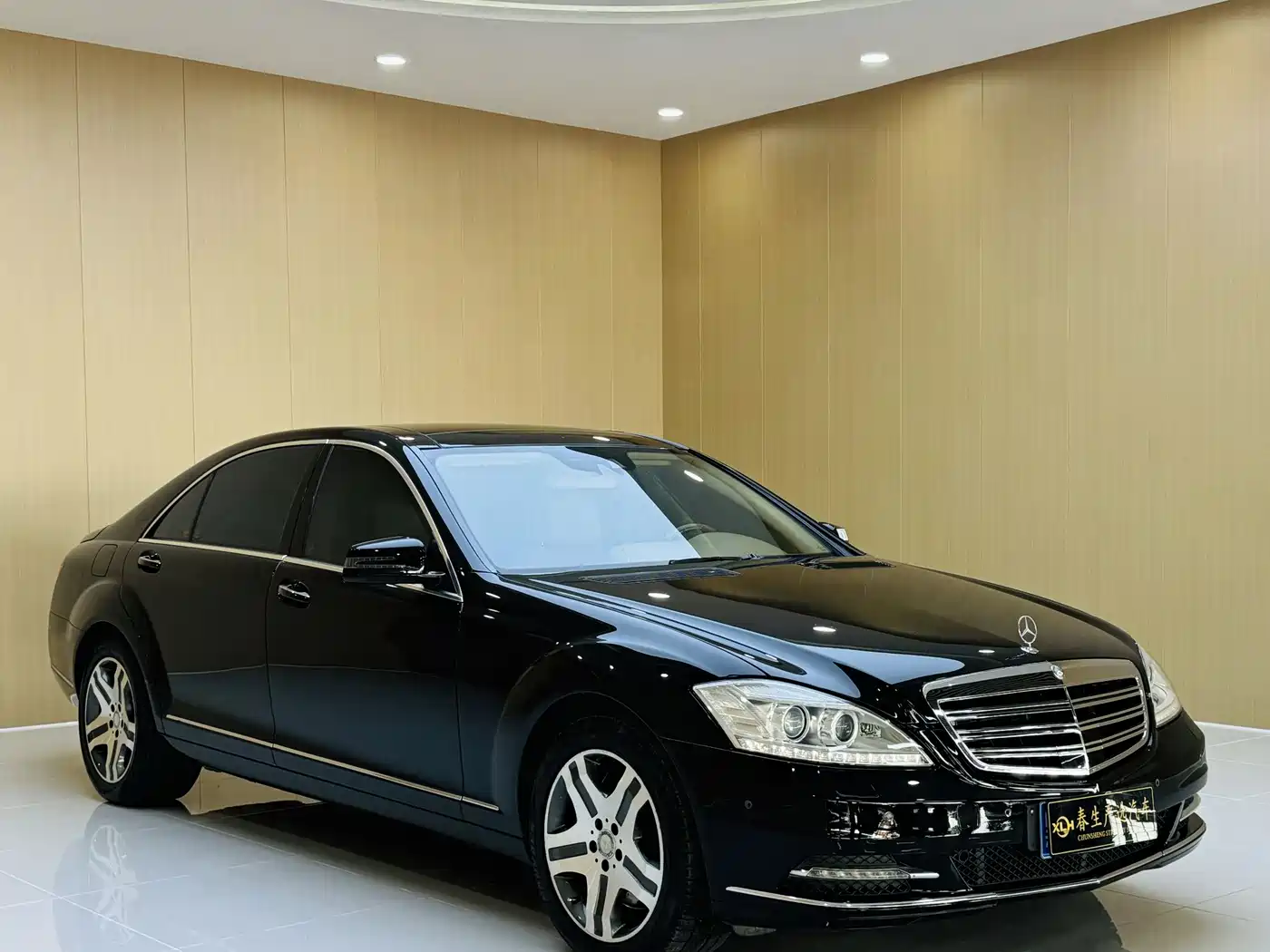 Mercedes-Benz S-Class 2010 S 600 L фото 3