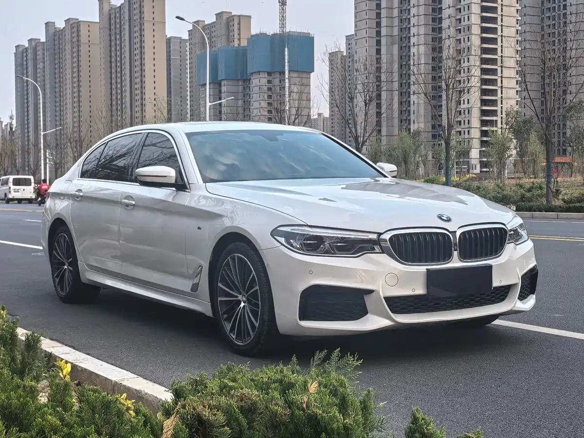 BMW 5 Series 2020 530Li Leading M Sport Package фото 3