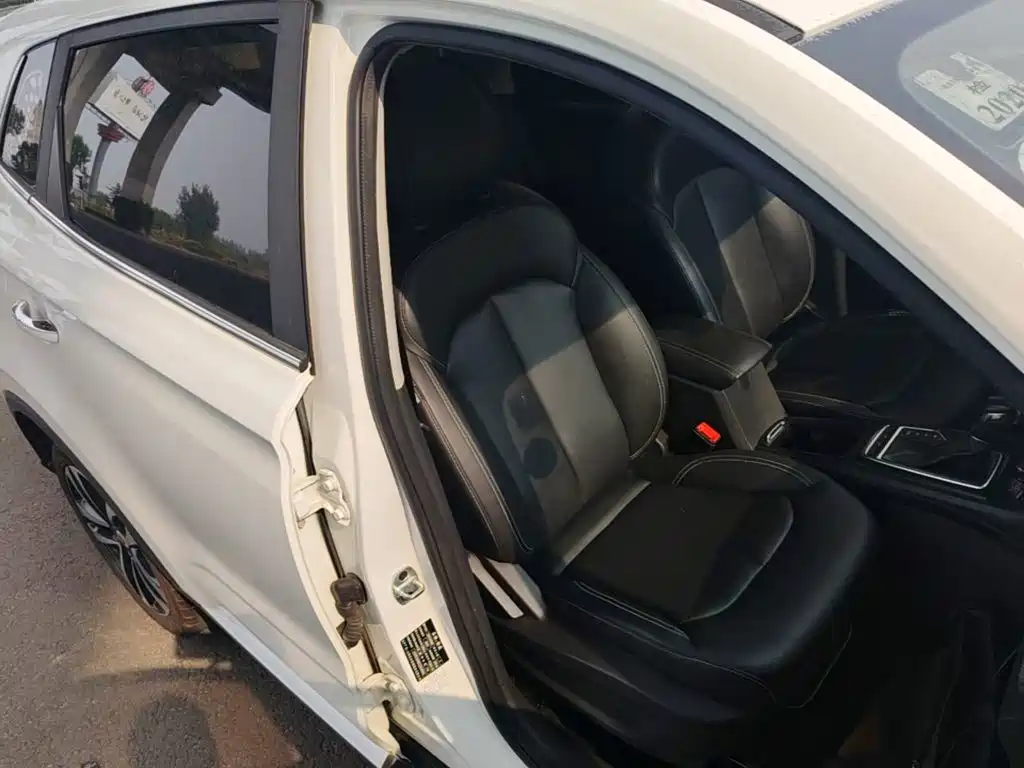 Фото 25 - Roewe RX3