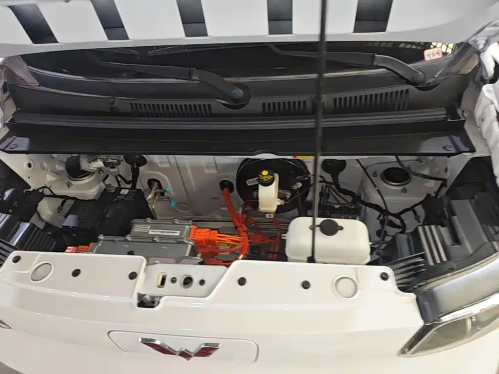 Wuling Motors Wuling Zhiguang NEV 2026 2025 Model 305km Base Version