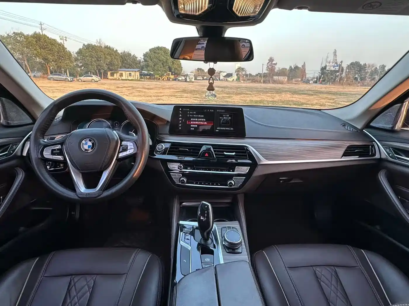 BMW 5 Series 2018 Facelift 530Li Leading Luxury Package фото 6