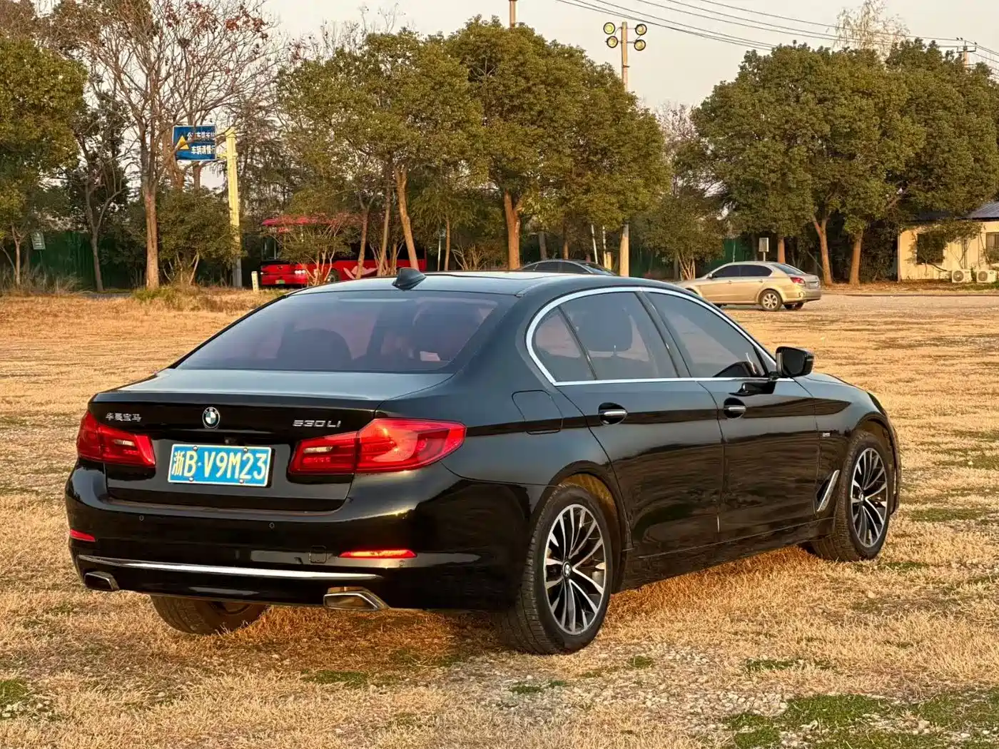 BMW 5 Series 2018 Facelift 530Li Leading Luxury Package фото 12