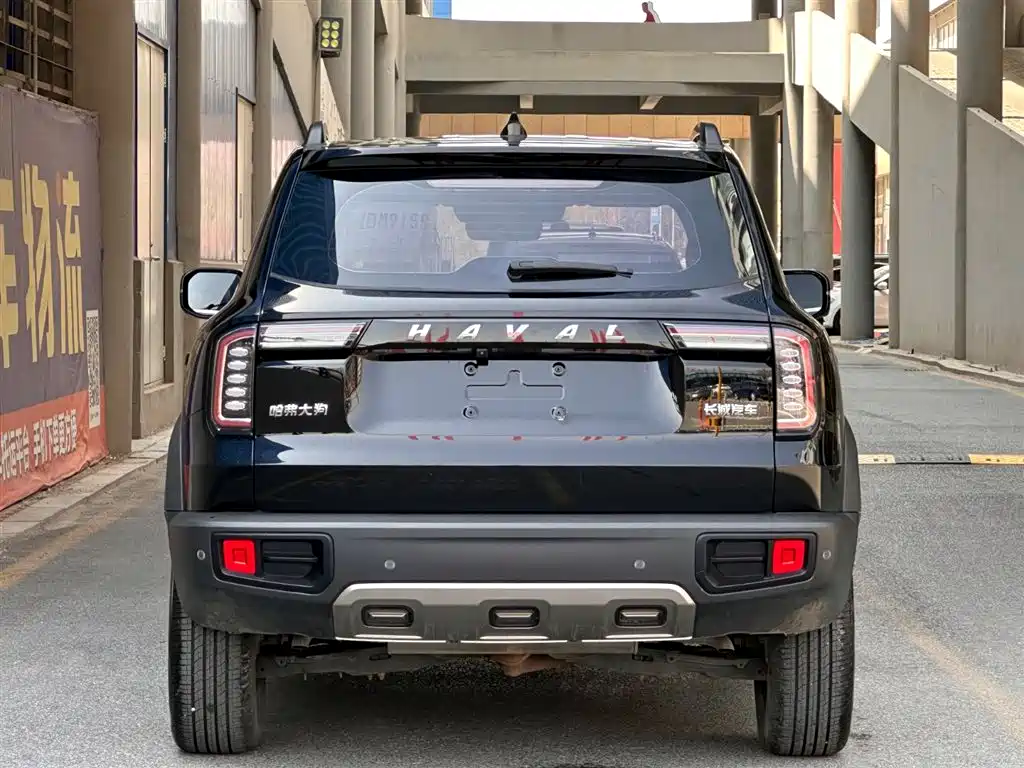 HAVAL BIG DOG