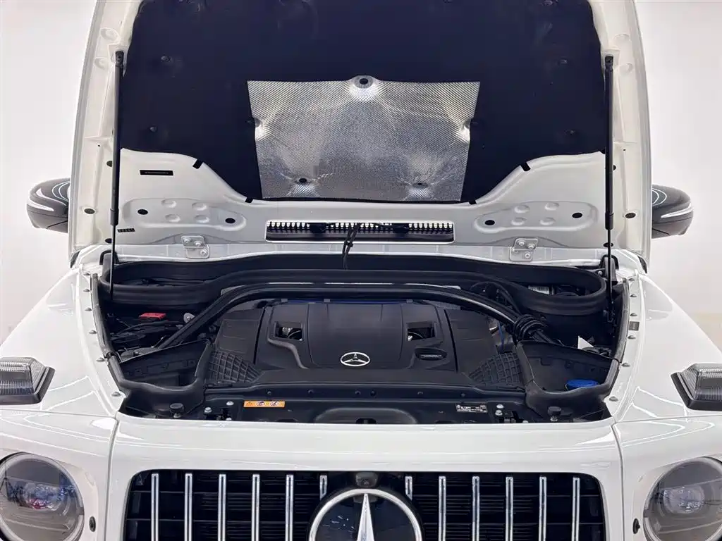 Mercedes-Benz G-Class 2020 G 500 фото 4