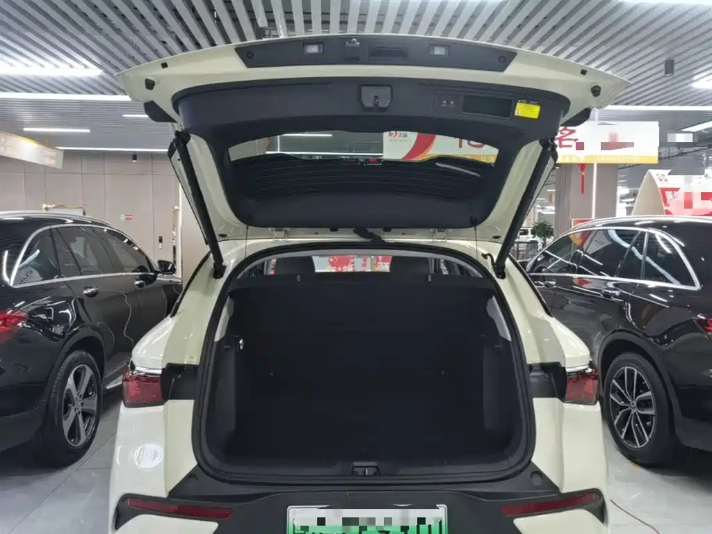 BYD Yuan PLUS 2025 Smart Drive 510KM Surpass Edition фото 19