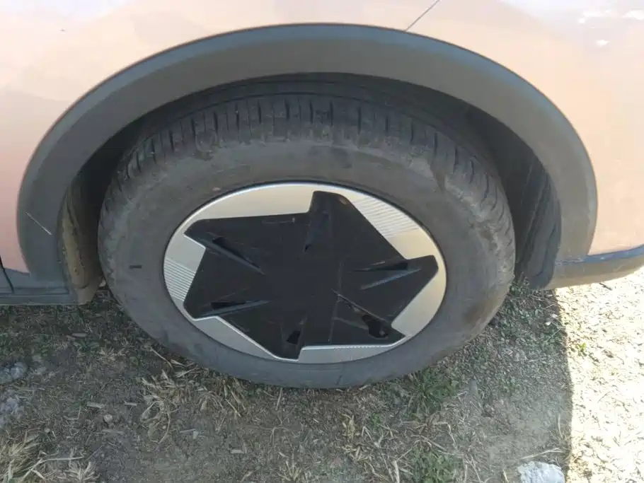 Фото 6 - Geely Geometry E Firefly