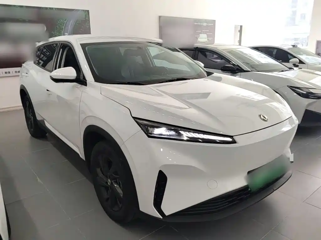 Dongfeng Aeolus SKY EV01 2024 2024 530km PRO