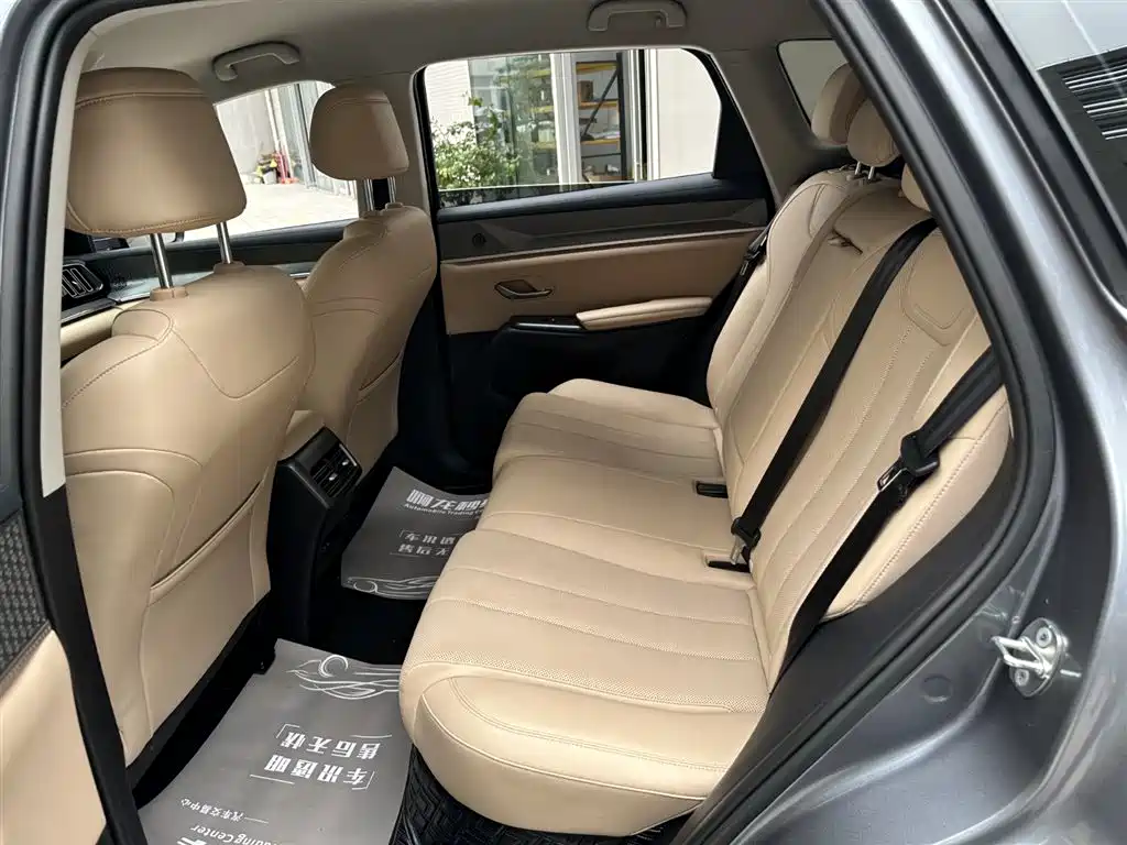 BYD SONGJIANG NEW ENERGY