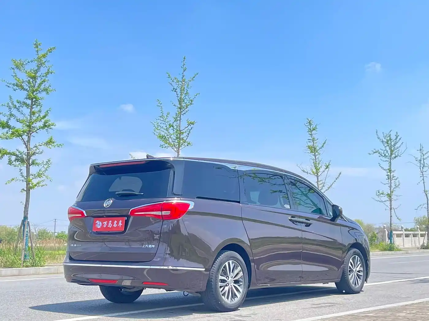 Buick GL8 2018 ES 28T Luxury Type China VI фото 9