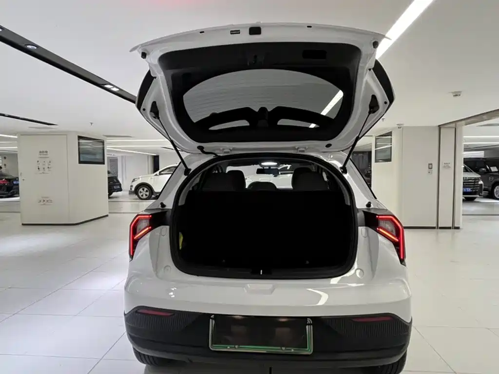 Geely Geometry E Firefly 2024 2024 Model 301km Light Flow