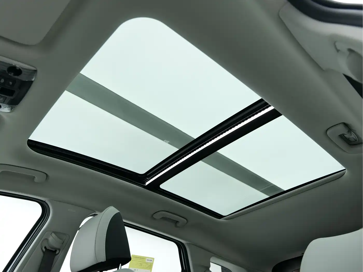 KIA LION PLATINUM EXPANDS THE WORLD