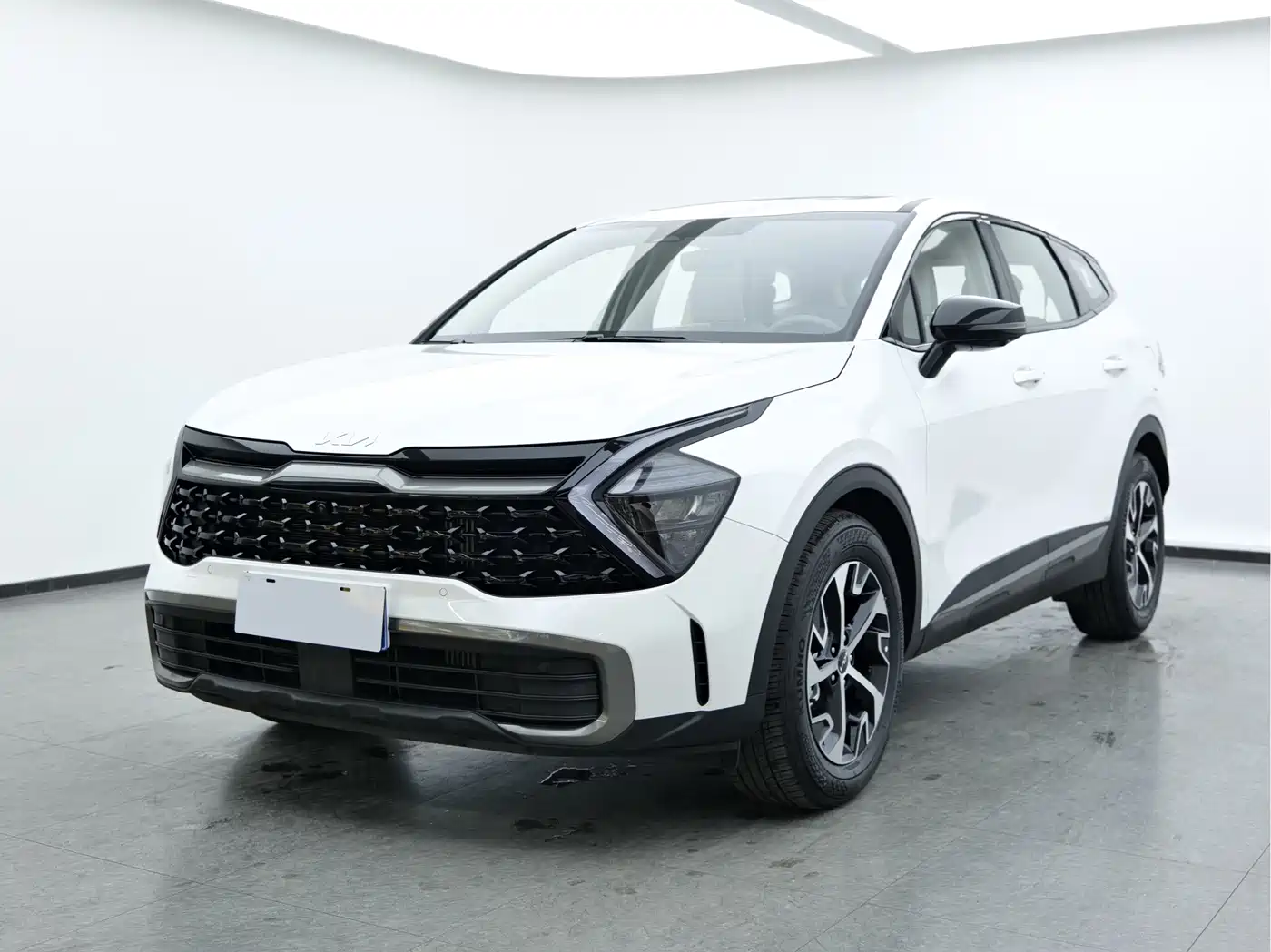 KIA LION PLATINUM EXPANDS THE WORLD