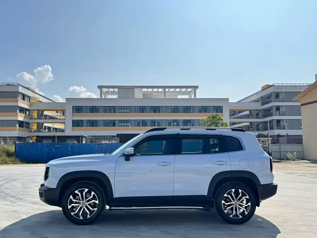 Фото 3 - Haval Dargo